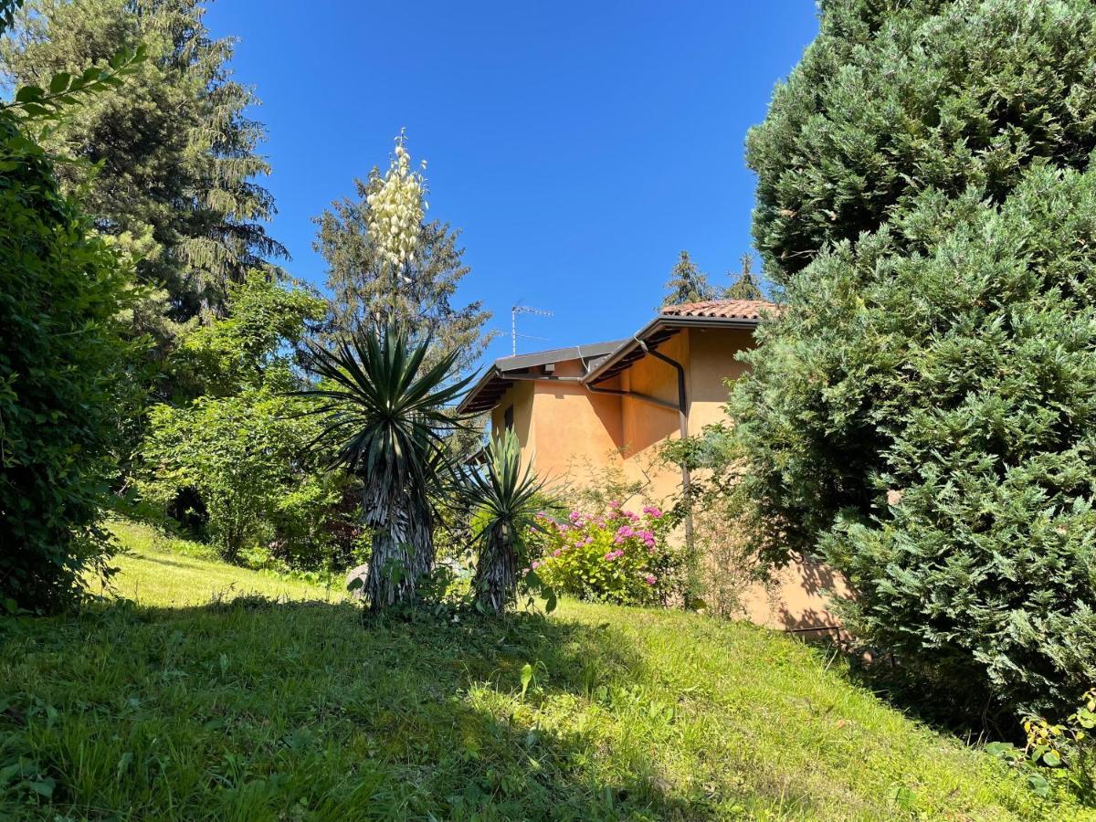 Appartamento Lake View Di Villa Giuliana Sulzano Eksteriør bilde